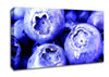 Blueberry Canvas Wall Art