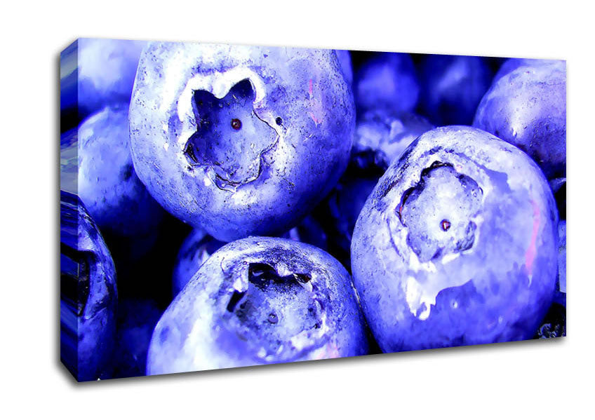 Blueberry Canvas Wall Art