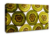 Kiwi Fruit Canvas Wall Art