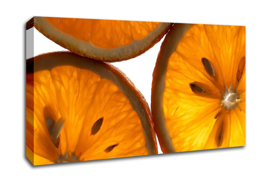 Orange Slice Canvas Wall Art
