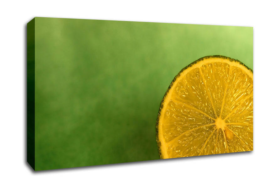Lime Close Up Canvas Wall Art