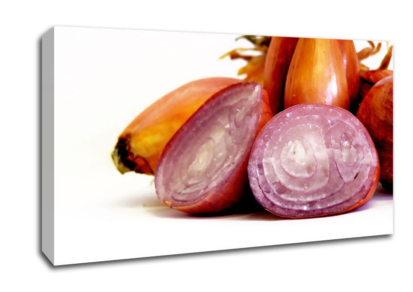 Onion Affair Canvas Wall Art