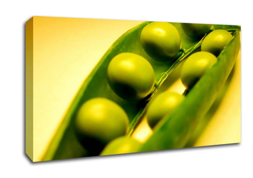 Pea Pod Canvas Wall Art
