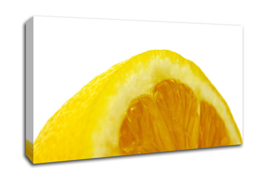 Lemon Wedge Canvas Wall Art