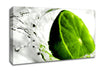 Lime Splash Canvas Wall Art