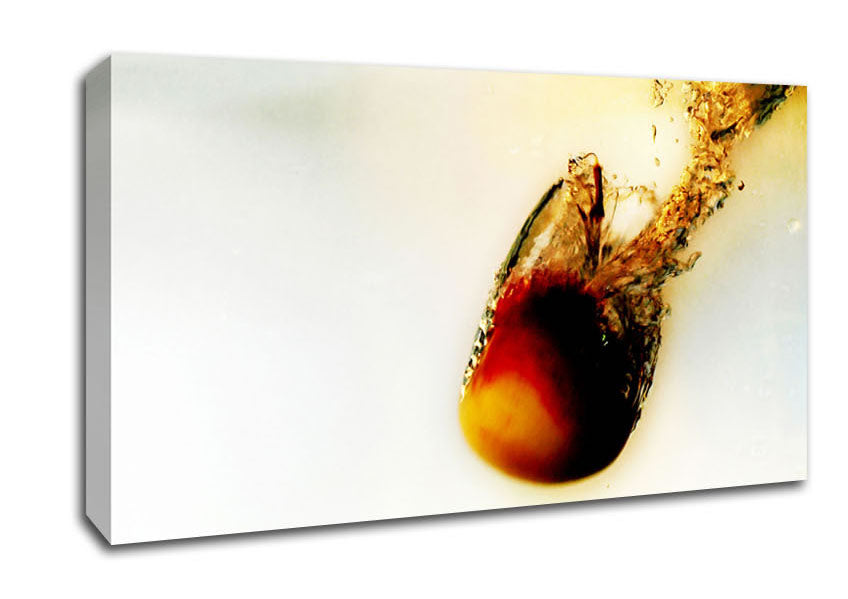 Peach Water Fizz Canvas Wall Art