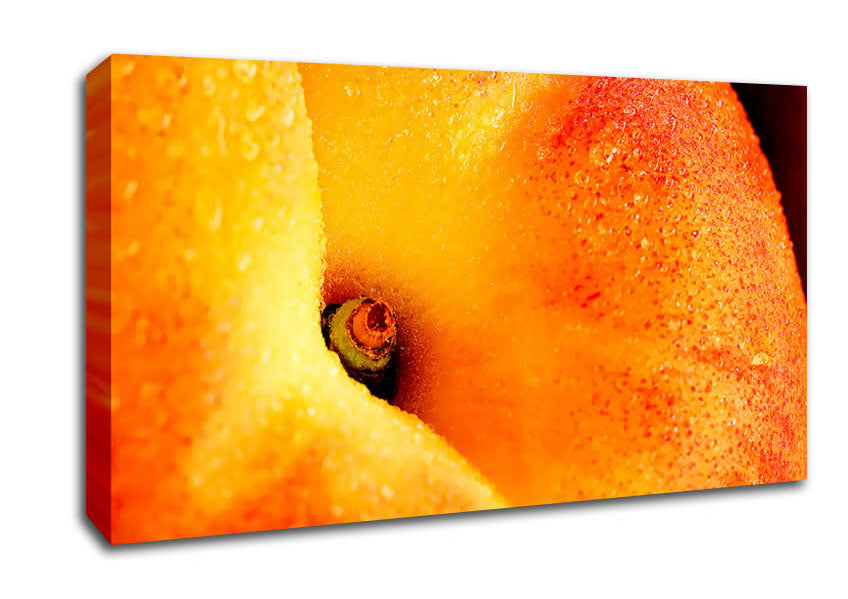 Peach Close-Up Canvas Wall Art
