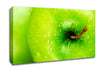 Dewdrop Apple Canvas Wall Art