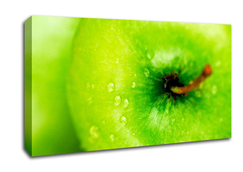 Dewdrop Apple Canvas Wall Art