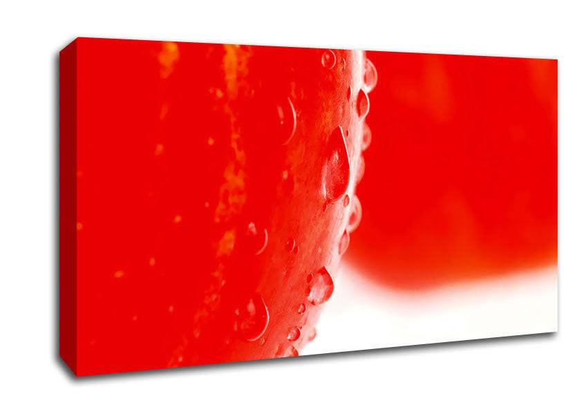 Red Apple Close-Up Canvas Wall Art