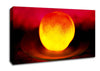 Peach Glow Canvas Wall Art