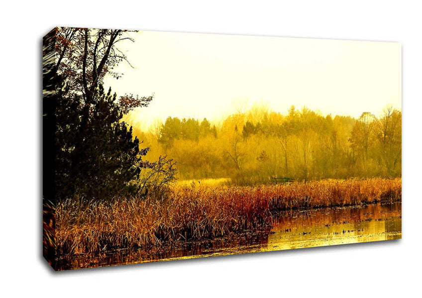 Lake In The Morning Sun Canvas Wall Art