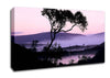 Lakeside Tree Canvas Wall Art