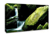 Moss Rocks Canvas Wall Art