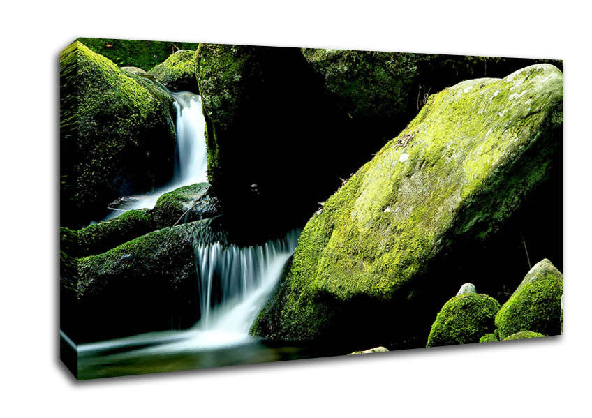 Moss Rocks Canvas Wall Art
