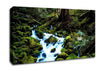 Forest Stream Movement Canvas Wall Art