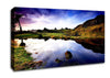 In The Scottish Highlands Canvas Wall Art