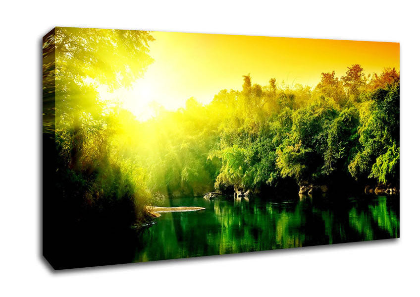 Lush Green Forest River At Sunrise Canvas Wall Art