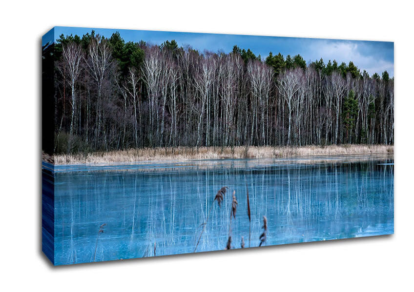 Ice Lake Canvas Wall Art