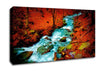 Red Autumn Stream Canvas Wall Art