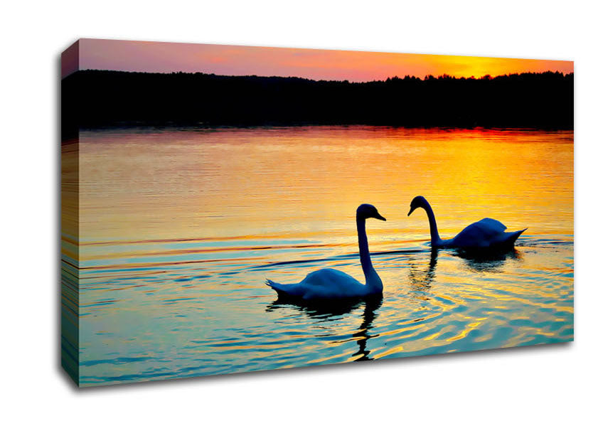 Lake Swans Canvas Wall Art