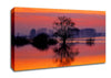 Orange Morning Reflections Canvas Wall Art