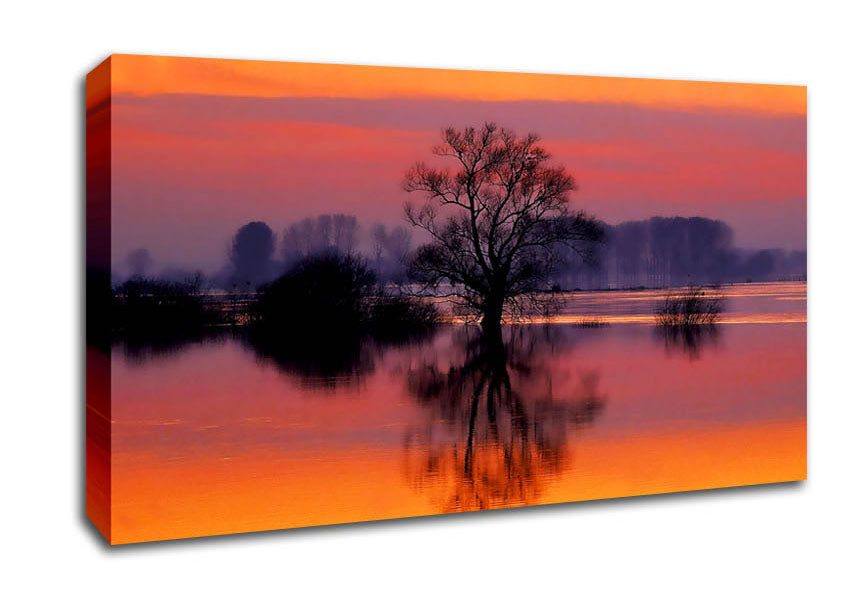 Orange Morning Reflections Canvas Wall Art