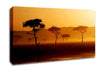 Misty Sunrise Lake Canvas Wall Art