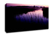 Pink River Calm Canvas Wall Art