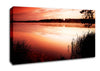Pink River Light Canvas Wall Art