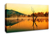 Morning Mist Over The Lake Canvas Wall Art