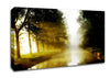 Misty Morning Lake Canvas Wall Art