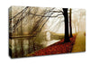 Morning Mist River Walk Canvas Wall Art