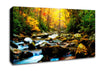 Autumn Stream Canvas Wall Art
