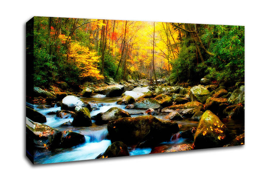 Autumn Stream Canvas Wall Art