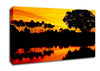 Beautiful Orange River Reflections Canvas Wall Art