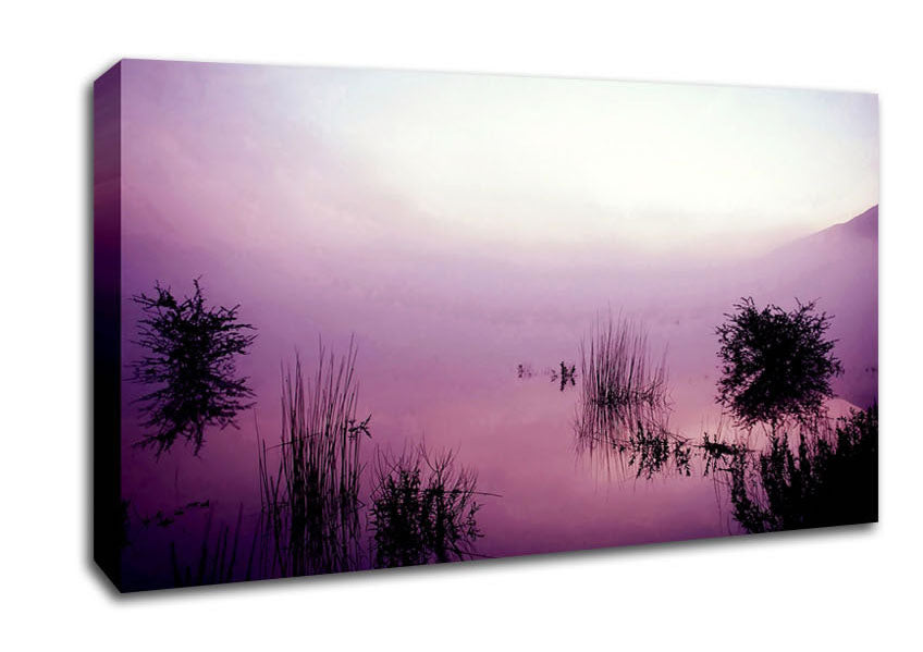Lilac Pink Mist Canvas Wall Art