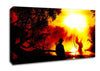 Bushmans Glory Canvas Wall Art