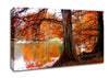 Orange Winter Lake Reflections Canvas Wall Art