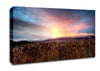 Mt Timpanogos Alpenglow Canvas Wall Art
