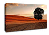 Lonesome Tree In The Field Autumn Canvas Wall Art