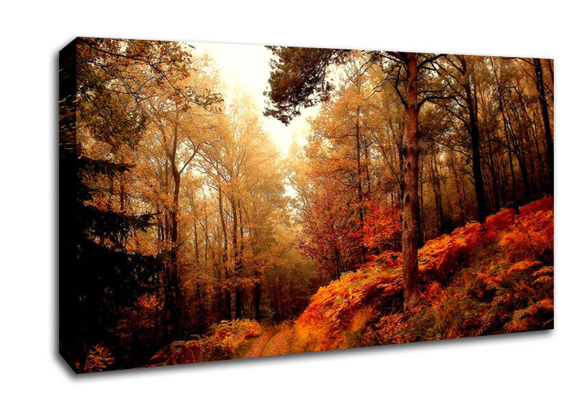 Mountain Path Canvas Wall Art