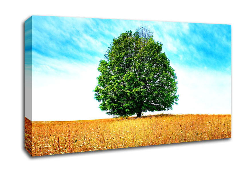 Late Summer Canvas Wall Art
