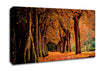 Park Autumn Canvas Wall Art
