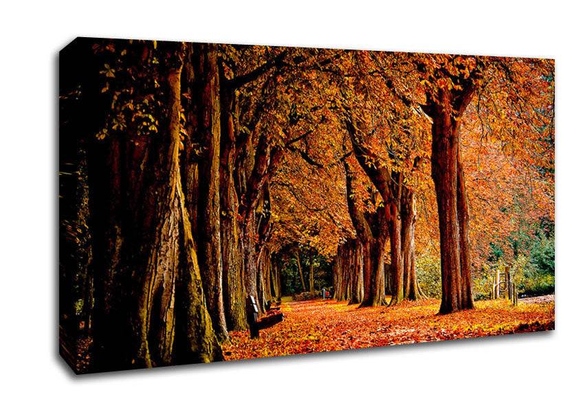 Park Autumn Canvas Wall Art