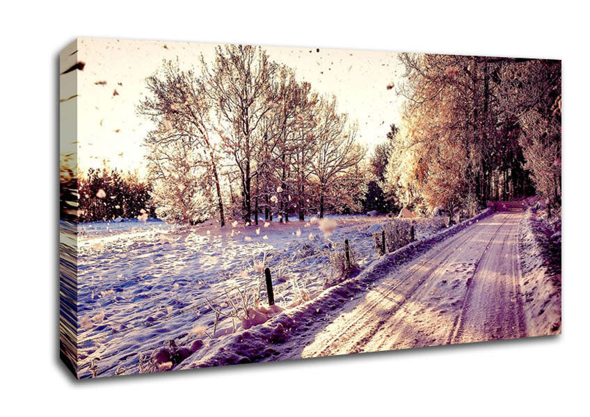 Pathway Winter Canvas Wall Art