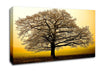 Beautiful Dusk Tree Canvas Wall Art