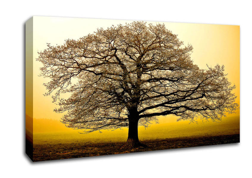 Beautiful Dusk Tree Canvas Wall Art
