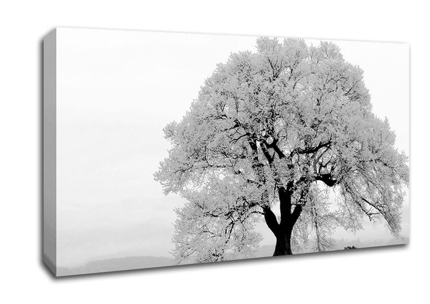 Blossomed Tree Canvas Wall Art