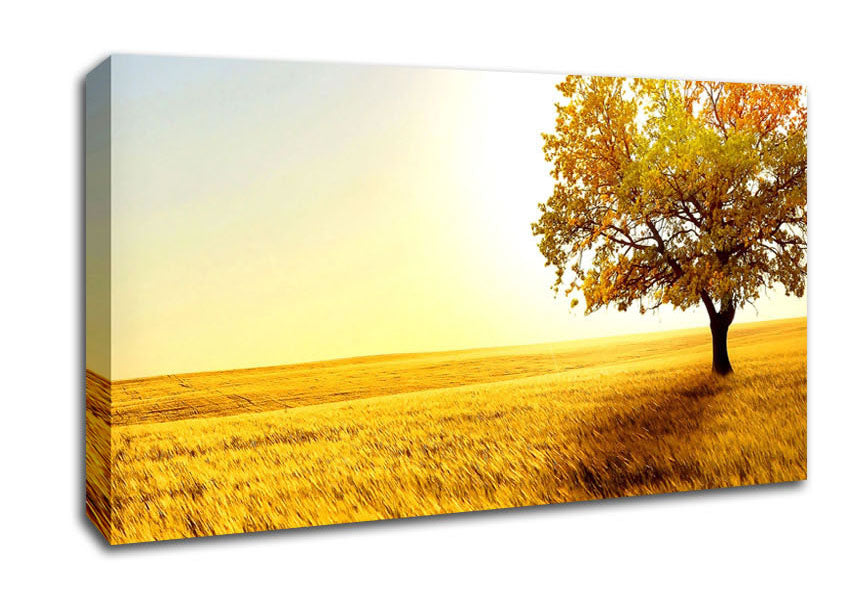 Golden Trees Fields Canvas Wall Art